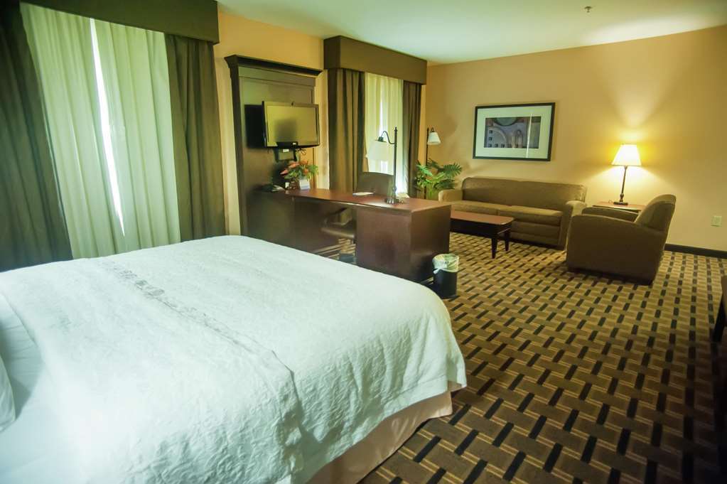 Hampton Inn & Suites Palestine Camera foto